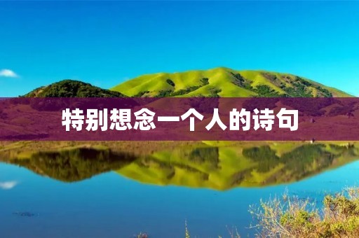 特别想念一个人的诗句