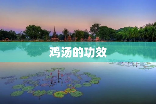 鸡汤的功效：健康养生的佳品