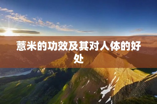 薏米的功效及其对人体的好处