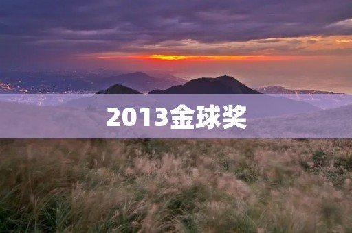 2013金球奖：好莱坞电影与电视界的盛大聚会