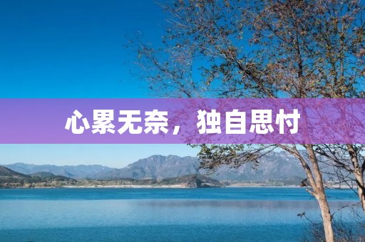 心累无奈，独自思忖