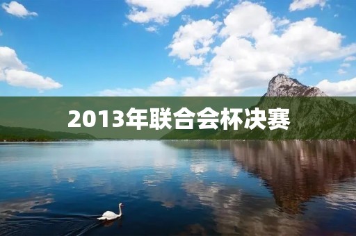 2013年联合会杯决赛：巴西VS西班牙
