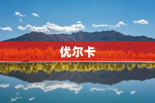 优尔卡:让人们更健康、更美丽的饮品选择 优尔卡:让人们更健康、更美丽的饮品选择