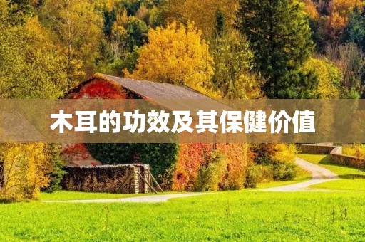 木耳的功效及其保健价值 木耳的功效及其保健价值