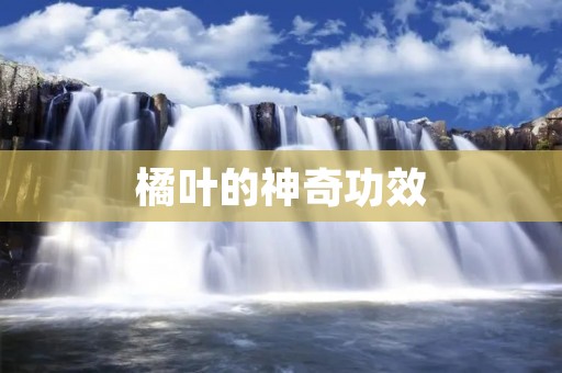 橘叶的神奇功效 橘叶的神奇功效
