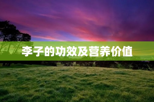李子的功效及营养价值 李子的功效及营养价值