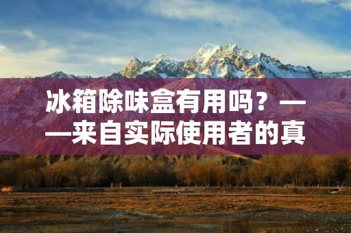冰箱除味盒有用吗？——来自实际使用者的真实反馈