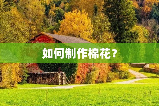 如何制作棉花？