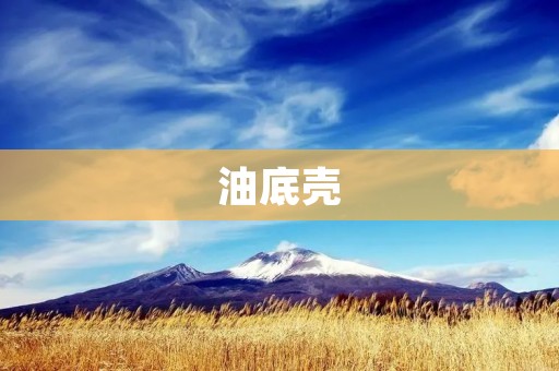 油底壳:保护发动机的重要组成部分 油底壳:保护发动机的重要组成部分