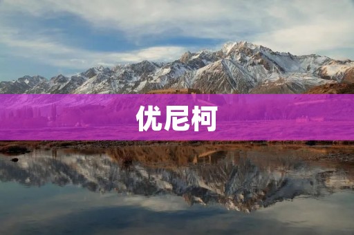优尼柯:领先的智能家居解决方案提供商 优尼柯:领先的智能家居解决方案提供商