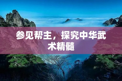 参见帮主，探究中华武术精髓