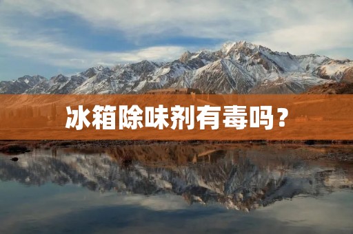 冰箱除味剂有毒吗？