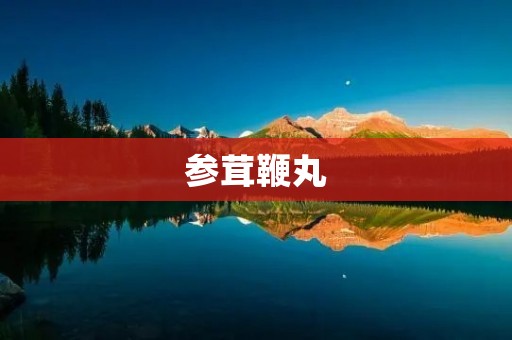 参茸鞭丸:中药补品的王者 参茸鞭丸:中药补品的王者