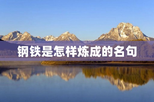 钢铁是怎样炼成的名句
