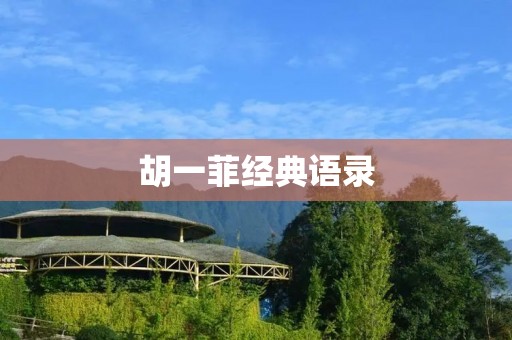 胡一菲经典语录：用幽默点缀生活的智慧