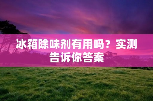 冰箱除味剂有用吗？实测告诉你答案