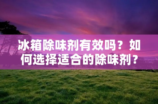 冰箱除味剂有效吗?如何选择适合的除味剂?