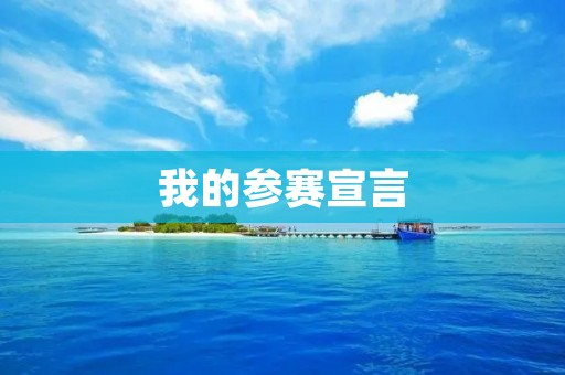 我的参赛宣言:用行动证明自己 我的参赛宣言:用行动证明自己
