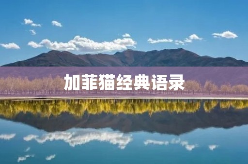 加菲猫经典语录：让我们一起回顾这个懒洋洋的小胖猫的名言