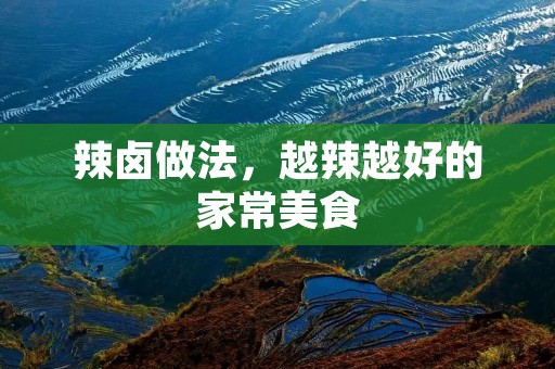 辣卤做法，越辣越好的家常美食