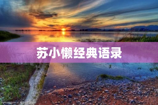 苏小懒经典语录:懒得动就动感情