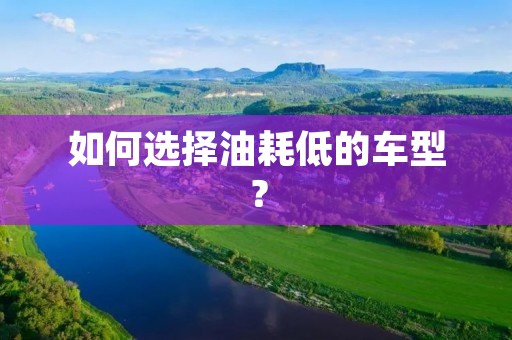 如何选择油耗低的车型? 如何选择油耗低的车型?