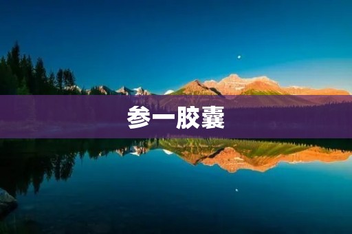 参一胶囊：一种中药保健品