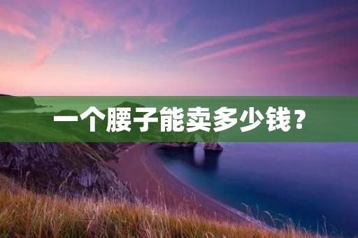 一个腰子能卖多少钱? 一个腰子能卖多少钱?