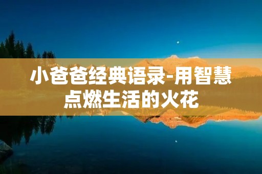 小爸爸经典语录-用智慧点燃生活的火花