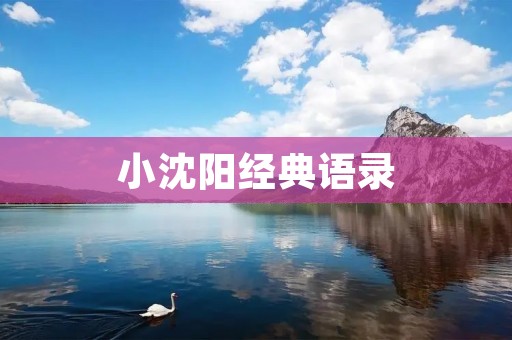 小沈阳经典语录:让人捧腹大笑的经典语句