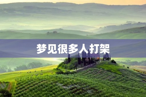 梦见很多人打架：解梦分析及意义