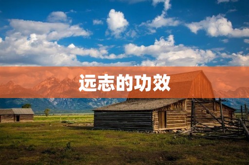 远志的功效 远志的功效