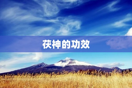 茯神的功效:如何正确使用茯神提高健康水平 茯神的功效:如何正确使用茯神提高健康水平