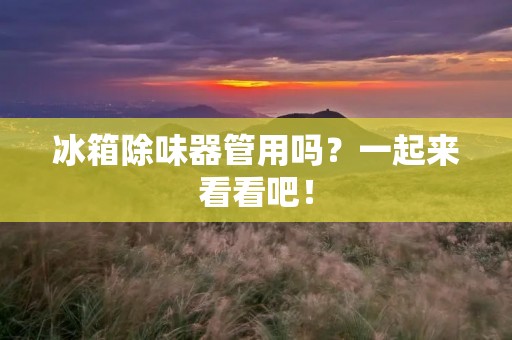 冰箱除味器管用吗？一起来看看吧！