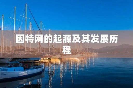 因特网的起源及其发展历程 因特网的起源及其发展历程