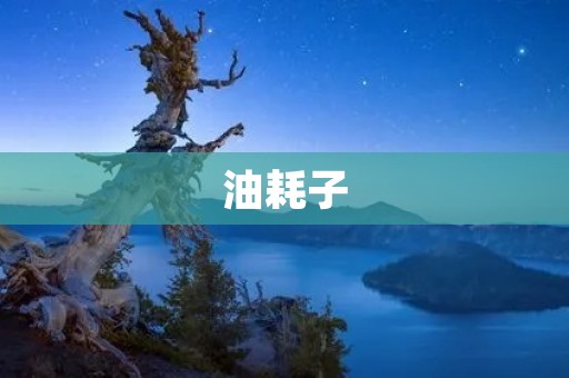 油耗子:一种危害环境的小生物 油耗子:一种危害环境的小生物