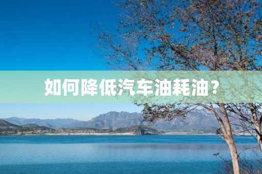 如何降低汽车油耗油? 如何降低汽车油耗油?