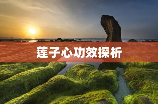莲子心功效探析：莲子心的神奇功效