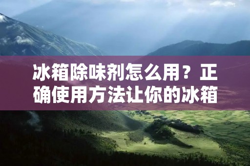 冰箱除味剂怎么用？正确使用方法让你的冰箱更加清新