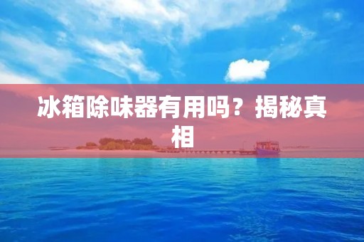 冰箱除味器有用吗？揭秘真相