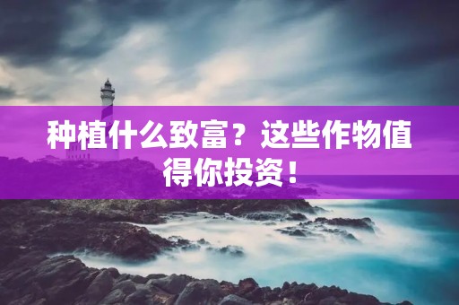 种植什么致富?这些作物值得你投资!