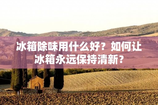 冰箱除味用什么好？如何让冰箱永远保持清新？