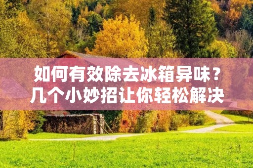如何有效除去冰箱异味？几个小妙招让你轻松解决