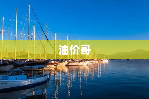 油价哥:从“油耗”到“油价” 油价哥:从“油耗”到“油价”
