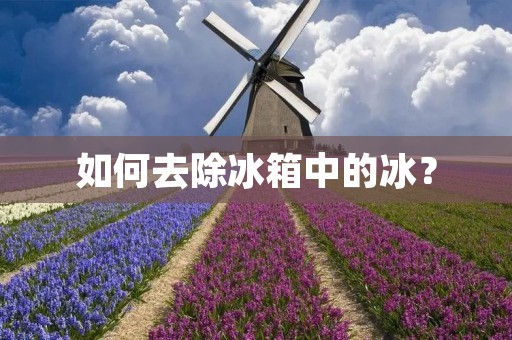 如何去除冰箱中的冰？