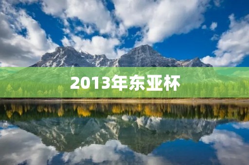 2013年东亚杯:中国男足表现不佳 2013年东亚杯:中国男足表现不佳