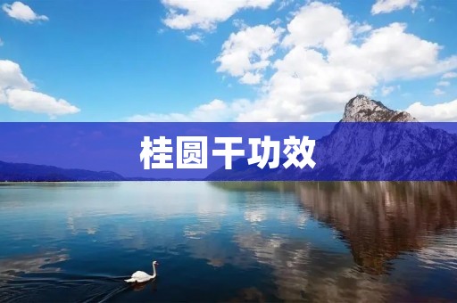 桂圆干功效：美容养颜，补血益气，安神助眠