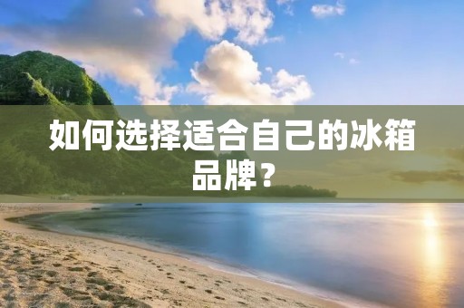 如何选择适合自己的冰箱品牌？
