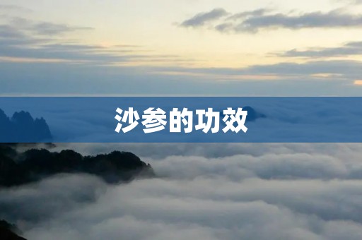 沙参的功效 沙参的功效