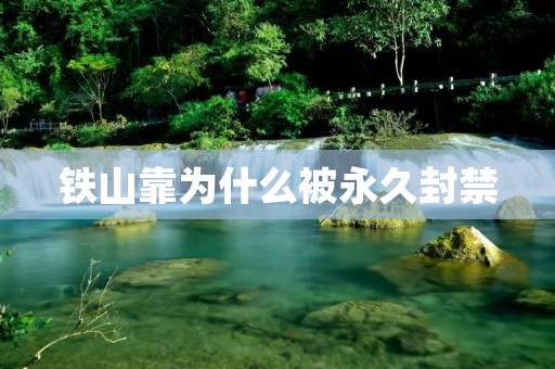 铁山靠为什么被永久封禁